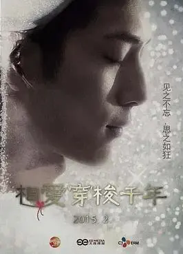 穿越千年的爱恋：电影《相爱穿梭千年》深度解析与情感纠葛