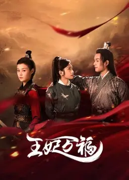 宫廷秘闻《王妃万福》：王妃的传奇命运