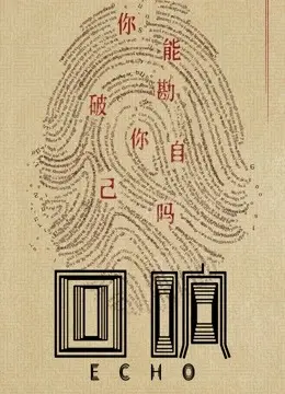 《回响》：迷雾重重的悬疑，抽丝剥茧的真相追寻