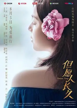 《但愿人长久》：漂泊与亲情，一部关于家与希望的动人故事