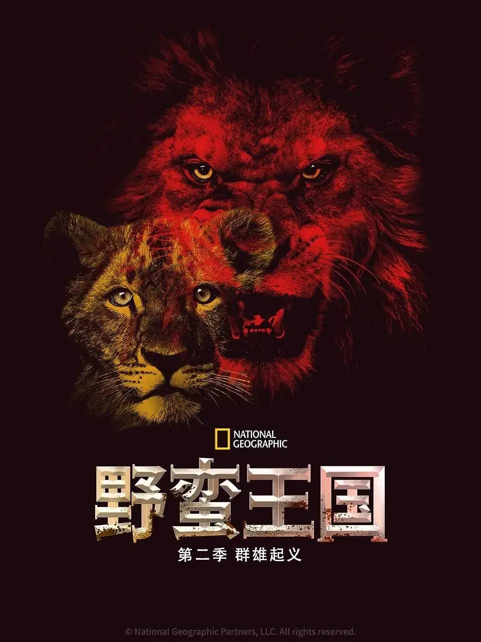 《野蛮王国 第二季》：权力、生存与牺牲，动物世界的残酷法则再次上演！