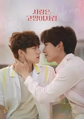 《爱情像猫一样》：跨国人猫恋的甜蜜与挑战，一场萌化少女心的奇幻之旅！